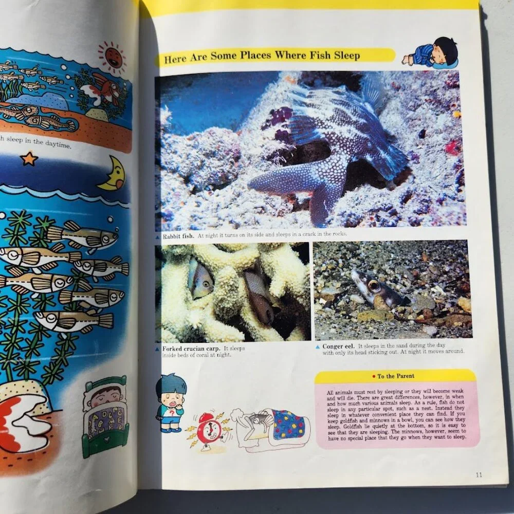 Life in the Water Child's First Library of Learning Science Stem Book Homeschool